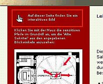 Interaktives Bild